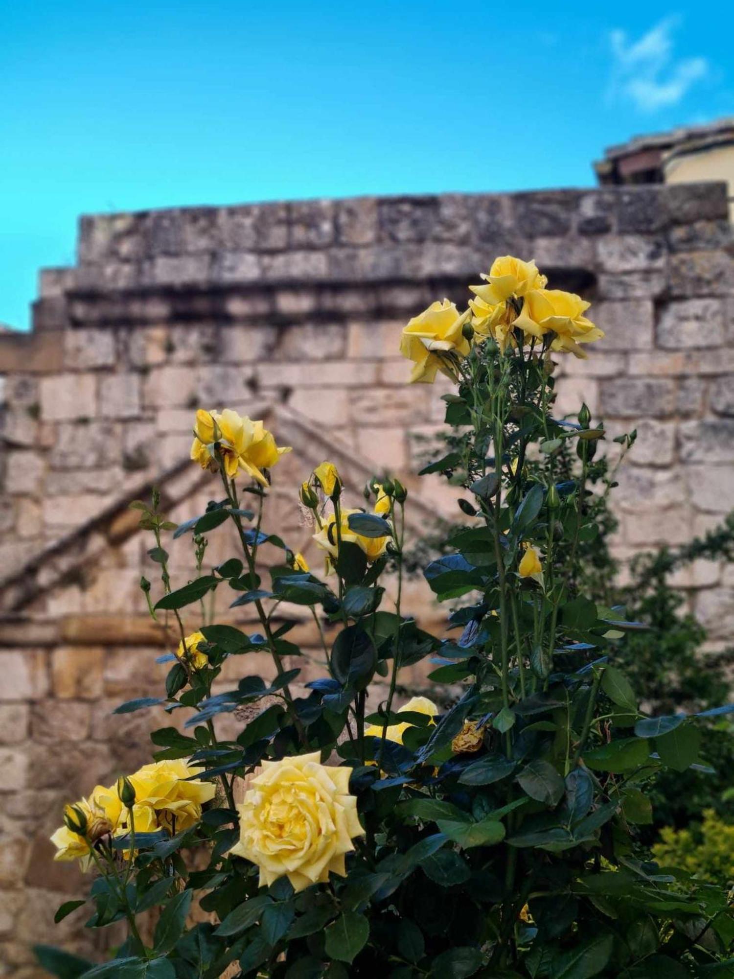 Abside De San Juan I *