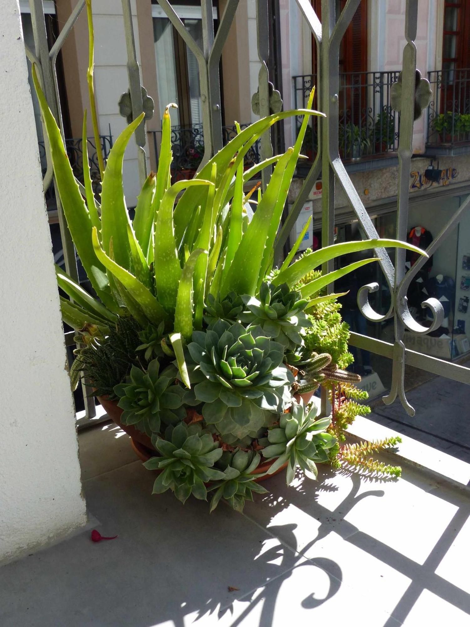 Abside De San Juan I Apartment